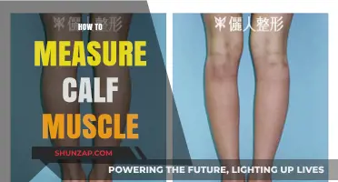 Assessing Calf Muscle Size: A Comprehensive Guide for Fitness Enthusiasts