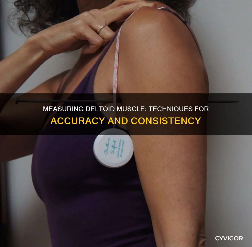 how to measure deltoid muscle