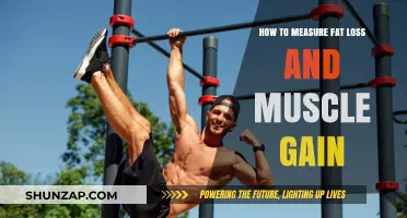 Effective Methods to Track Fat Loss and Muscle Gain Progress