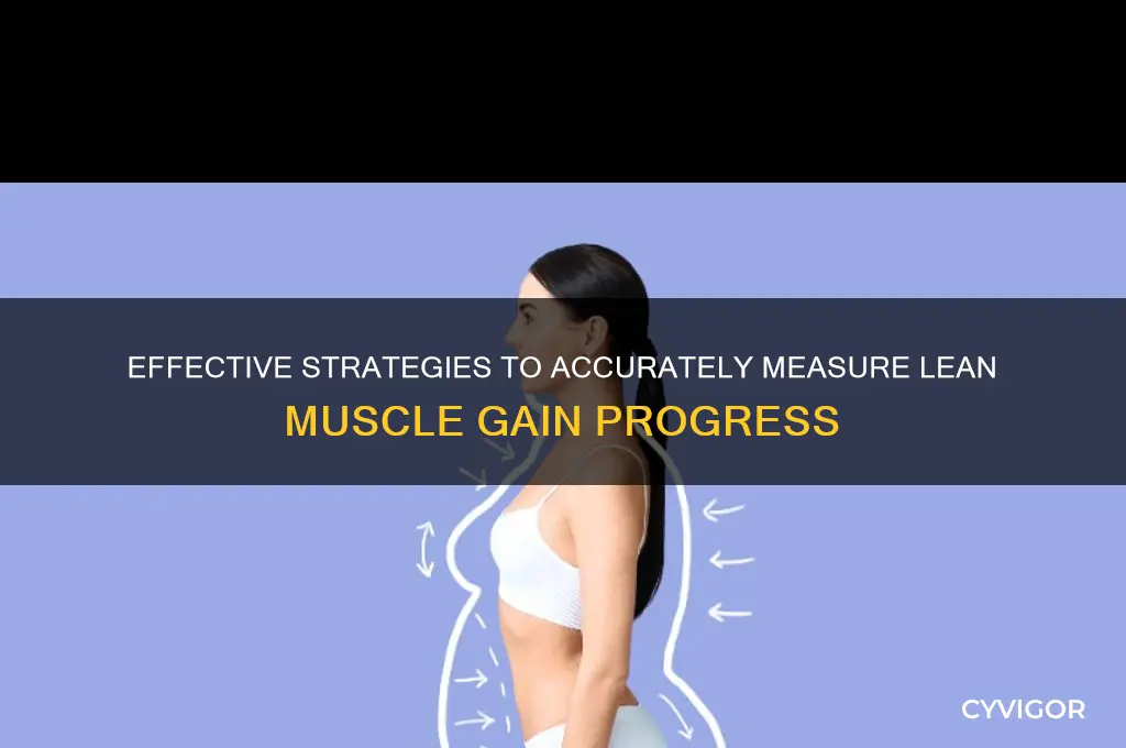 how to measure lean muscle gain