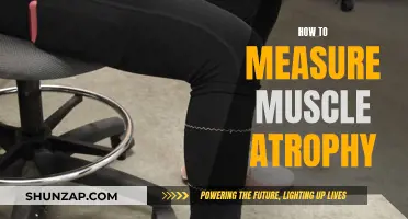 Measuring Muscle Atrophy: Effective Methods and Techniques
