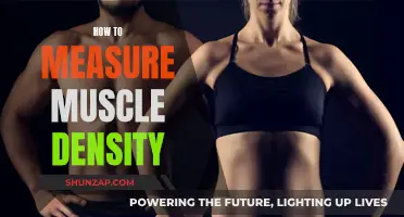 Measuring Muscle Density: Understanding Your Body's Composition