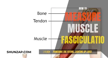 Measuring Muscle Fasciculations: Understanding the Basics of Electromyography