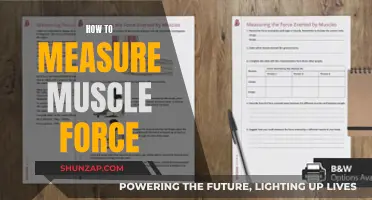 Measuring Muscle Force: Understanding the Science of Strength
