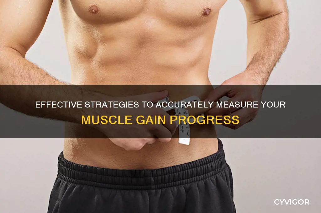 how to measure muscle gain