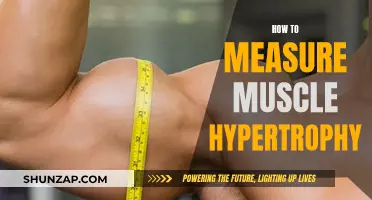Measuring Muscle Hypertrophy: Techniques for Tracking Progress