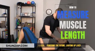 Measuring Muscle Length: Techniques for Optimal Fitness