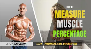 Assessing Muscle Mass: Measuring Muscle Percentage Accurately