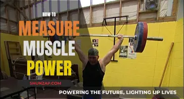 Measuring Muscle Power: Understanding Performance Metrics