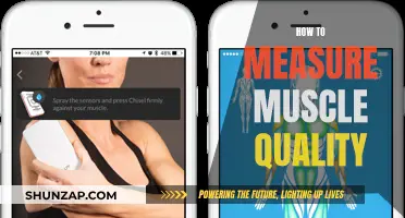 Assessing Muscle Quality: Understanding the Science of Measurement