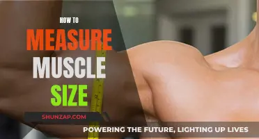 Measuring Muscle Size: Effective Techniques for Bodybuilders