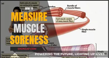 Measuring Muscle Soreness: Understanding Delayed-Onset Muscle Soreness