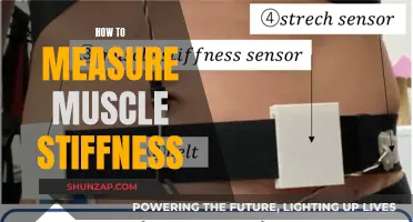 Measuring Muscle Stiffness: Techniques for Understanding Your Body