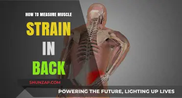 Assessing Back Muscle Strain: A Comprehensive Guide