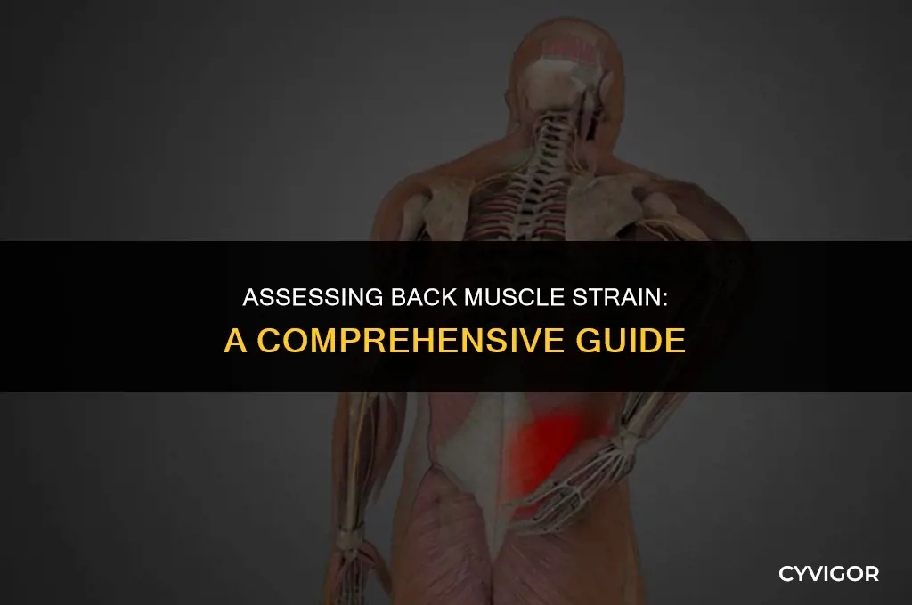 how to measure muscle strain in back
