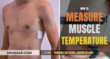 Measuring Muscle Temperature: Techniques for Optimal Results