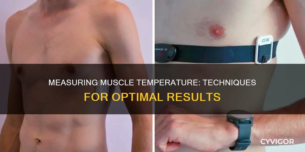 how to measure muscle temperature