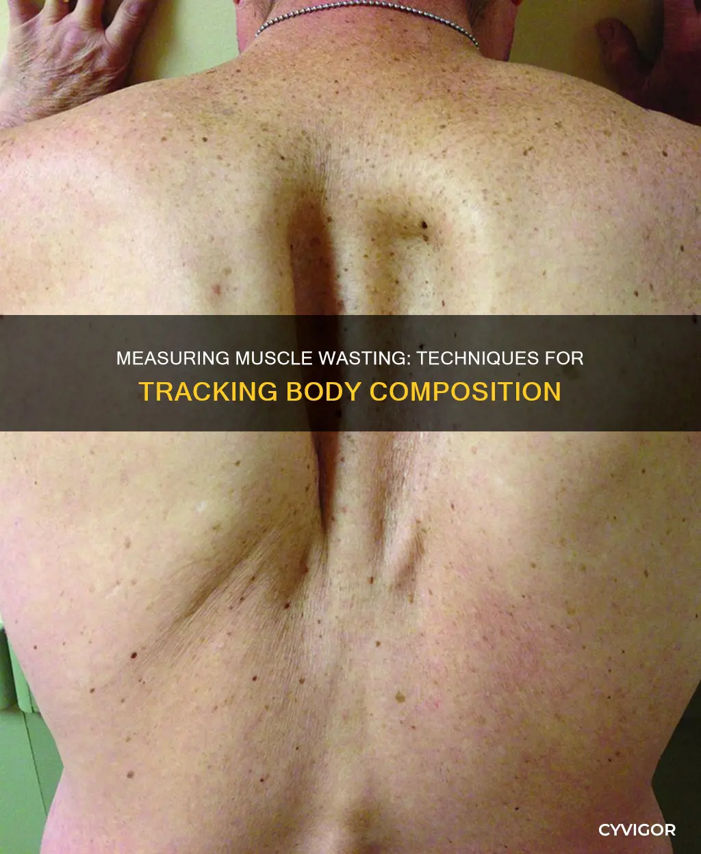 how to measure muscle wasting