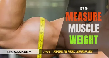 Measuring Muscle Mass: Understanding Weight and Body Composition