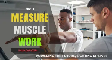 Effective Techniques to Accurately Measure Muscle Work and Performance