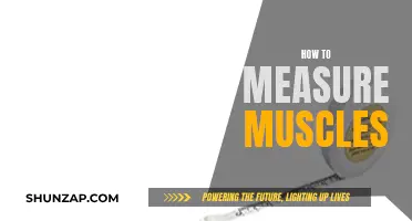 Measuring Muscle Growth: Effective Ways to Track Progress