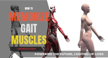 Mastering Gait Muscle Memory: Easy Techniques for Quick Learning