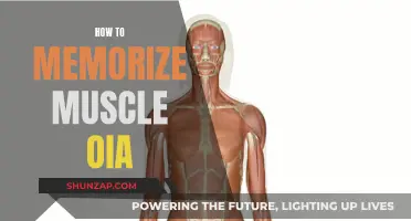 Mastering Muscle Memory: The Ultimate Guide to OIA Memorization
