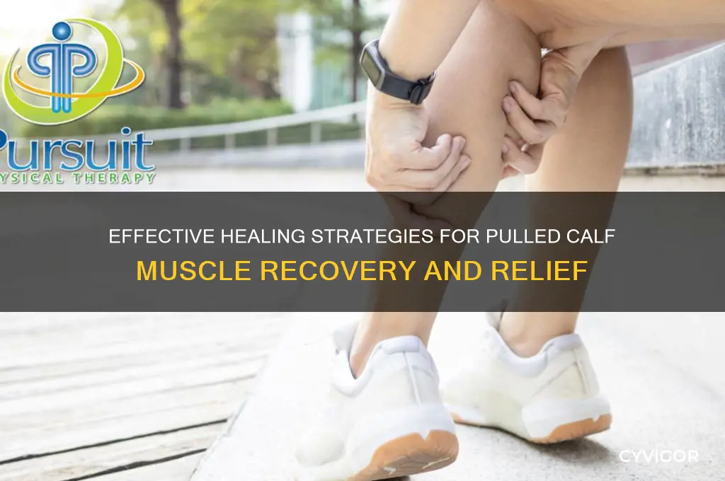 how to mend a pulled calf muscle