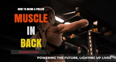 Effective Ways to Heal and Recover from a Pulled Back Muscle