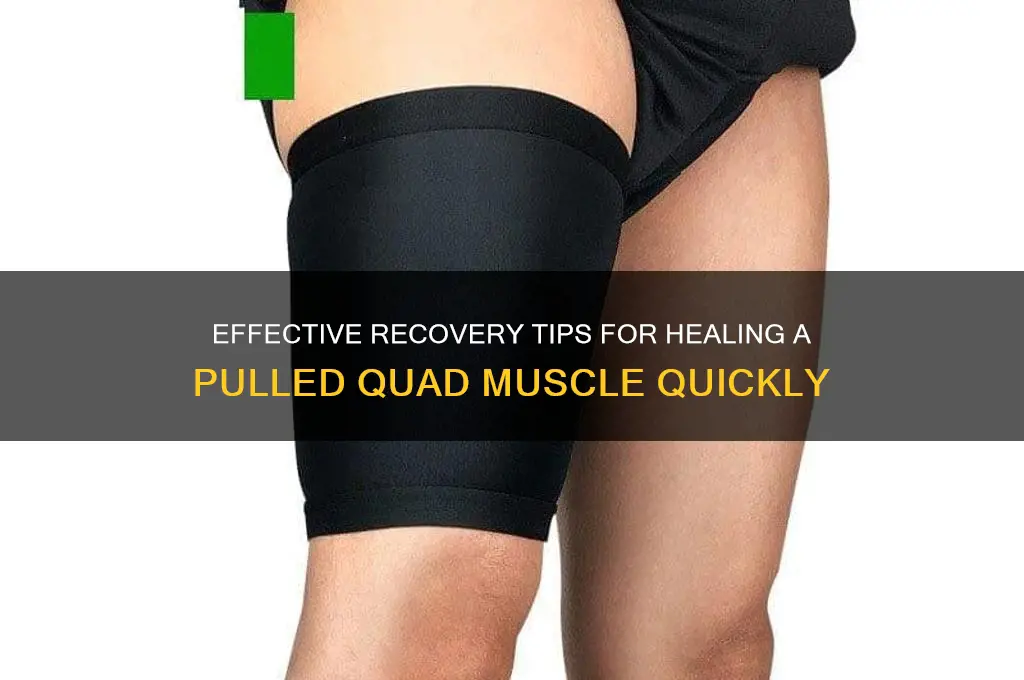 how to mend a pulled quad muscle