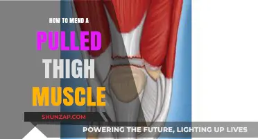 Effective Ways to Heal and Recover from a Pulled Thigh Muscle