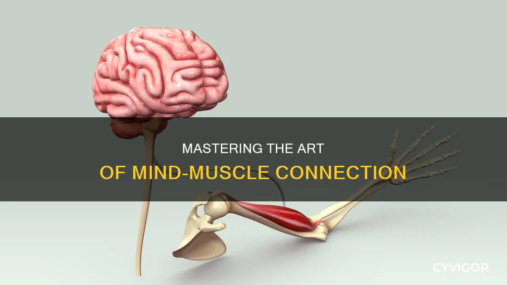 how to mind muscle connection