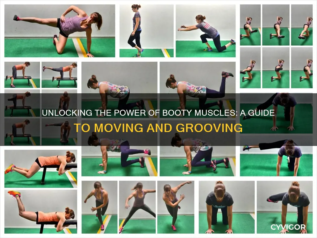how to move booty muscles