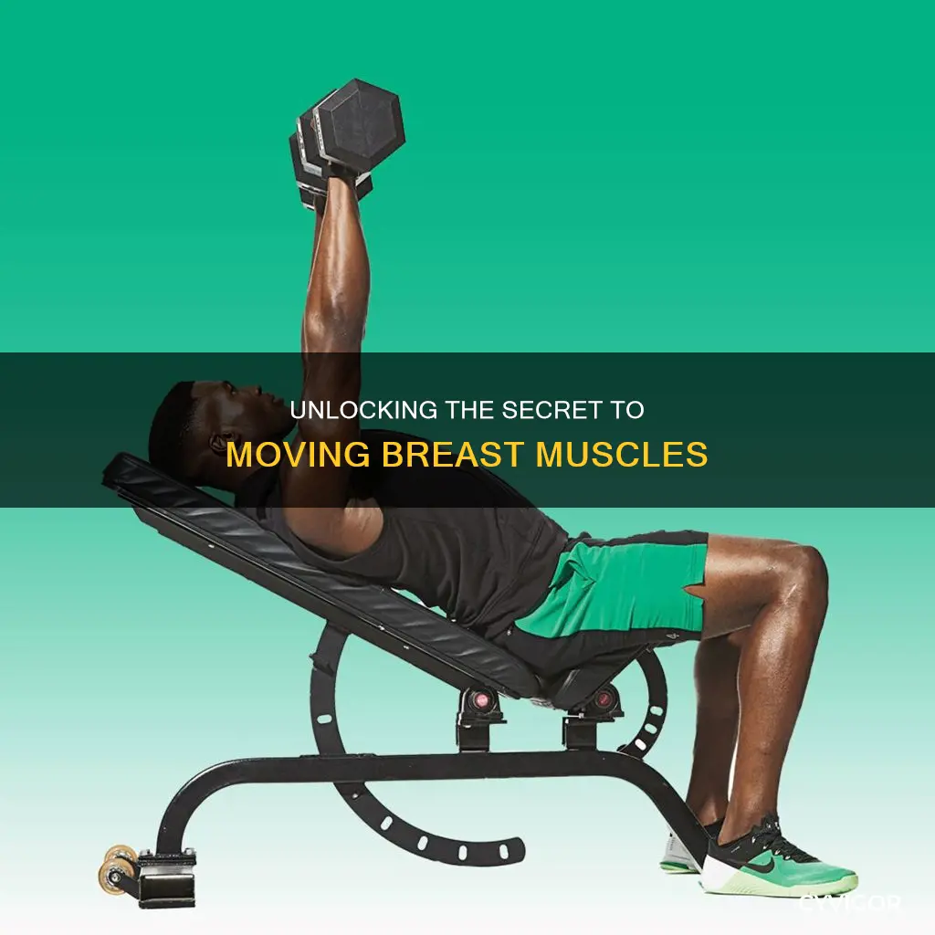 how to move breast muscles