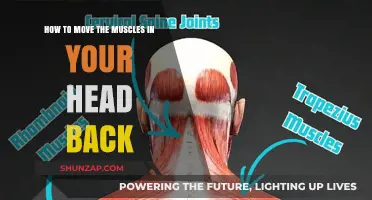 Relieve Tension: Gentle Exercises to Move Your Head Muscles Back