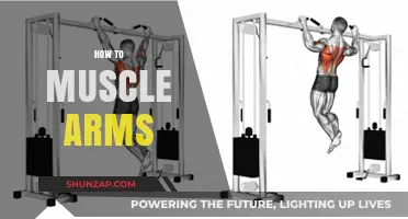 Sculpt Strong Arms: Effective Workouts and Tips for Muscle Growth