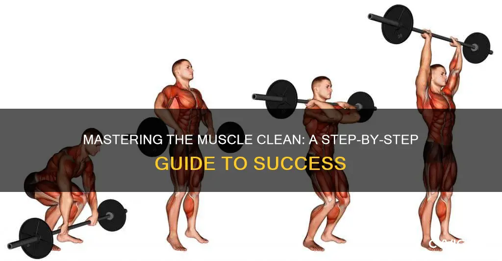how to muscle clean