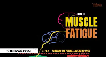 Understanding Muscle Fatigue: Strategies for Optimal Performance