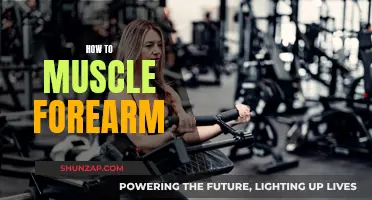 Building Forearm Muscles: Strategies for Strength and Size