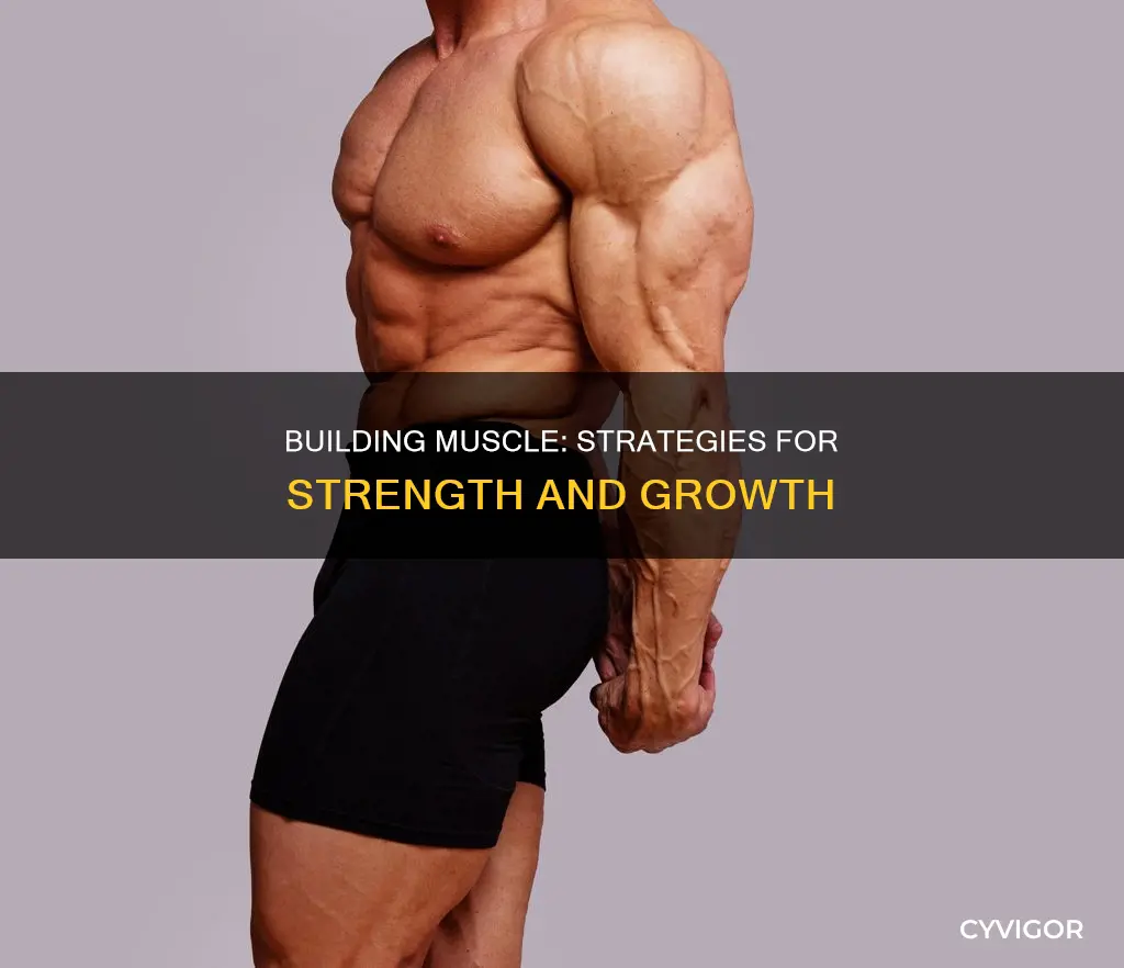 how to muscle ip