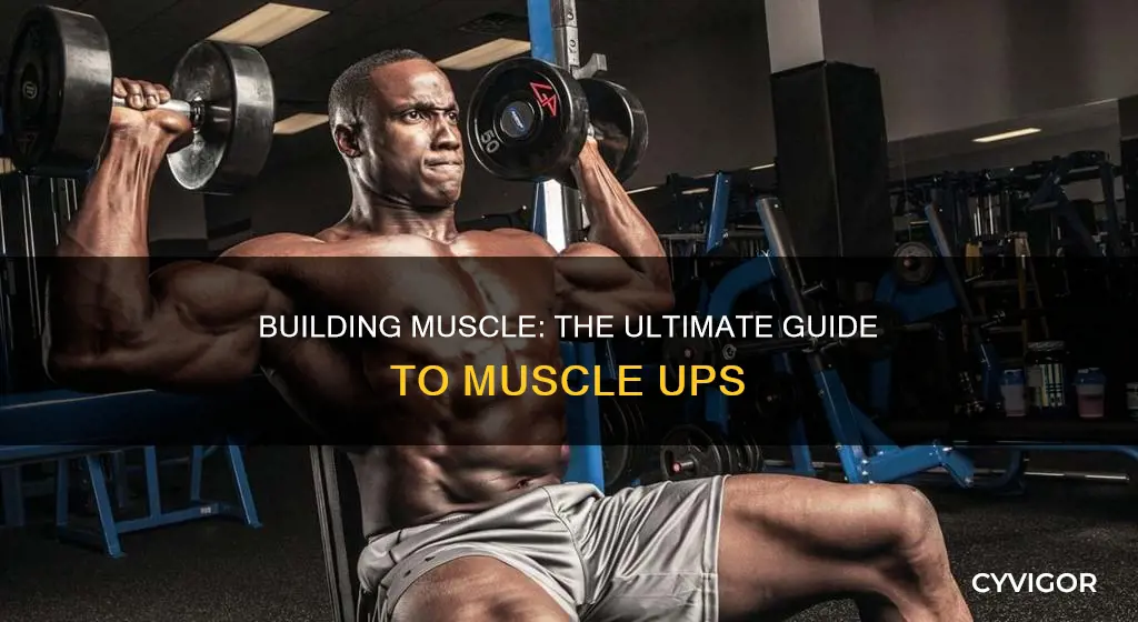 how to muscle jp