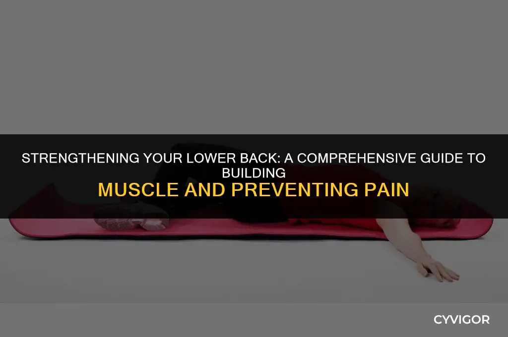 how to muscle lower back