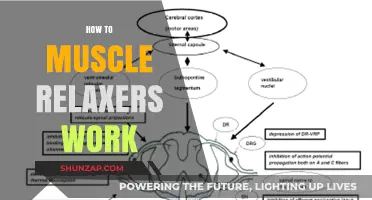 Understanding Muscle Relaxers: How They Work to Ease Tension and Pain