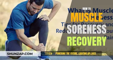 Muscle Soreness: Quick and Effective Recovery Techniques