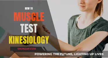 Kinesiology Muscle Testing: A Guide to Self-Diagnosis
