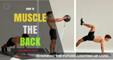 Strengthening Your Back: A Comprehensive Guide to Building Muscle