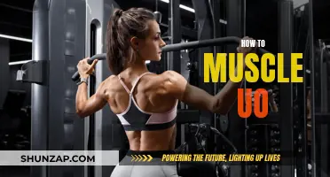 Building Muscle: Strategies for Strength and Size