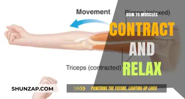 Understanding Muscle Contraction and Relaxation: A Comprehensive Guide