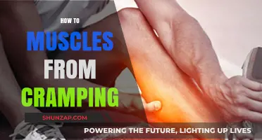 Preventing Muscle Cramps: Tips for Optimal Performance and Comfort