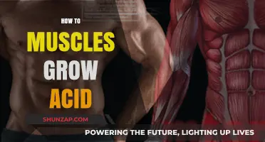 Muscle Growth Secrets: Unlocking Strength Through Acidic Mechanisms